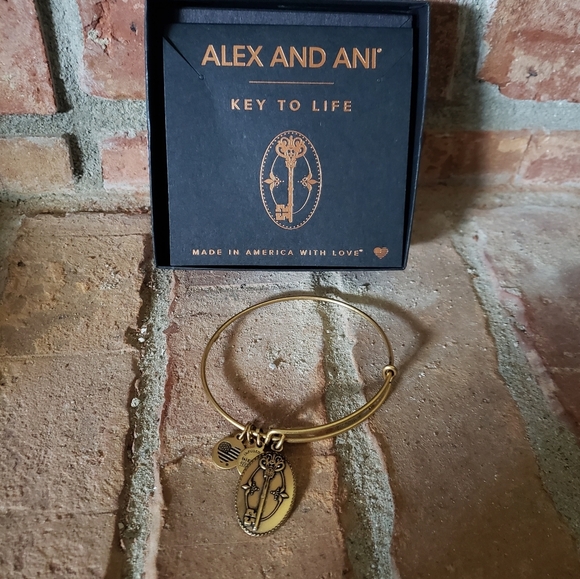 NWT Alex & Ani Gold Key to Life Bracelet - Picture 1 of 4